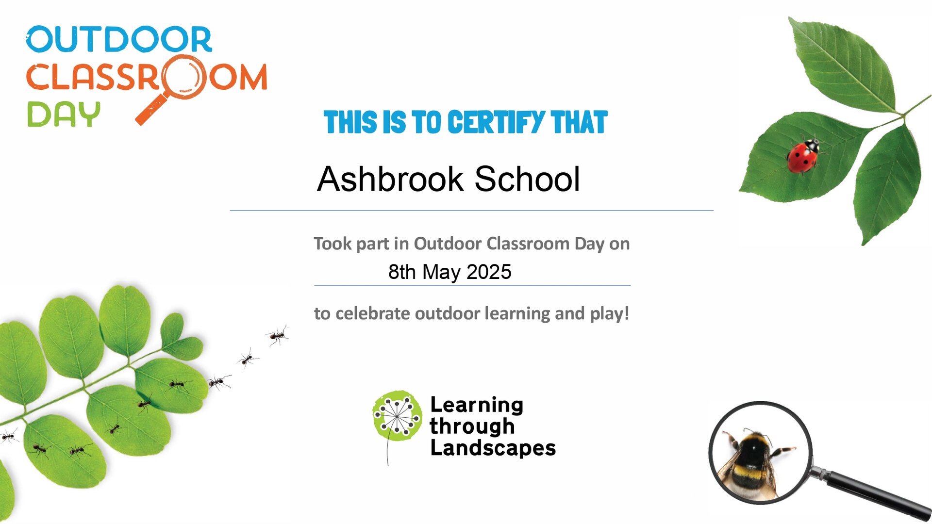 Outdoor Classroom Outdoor Classroom