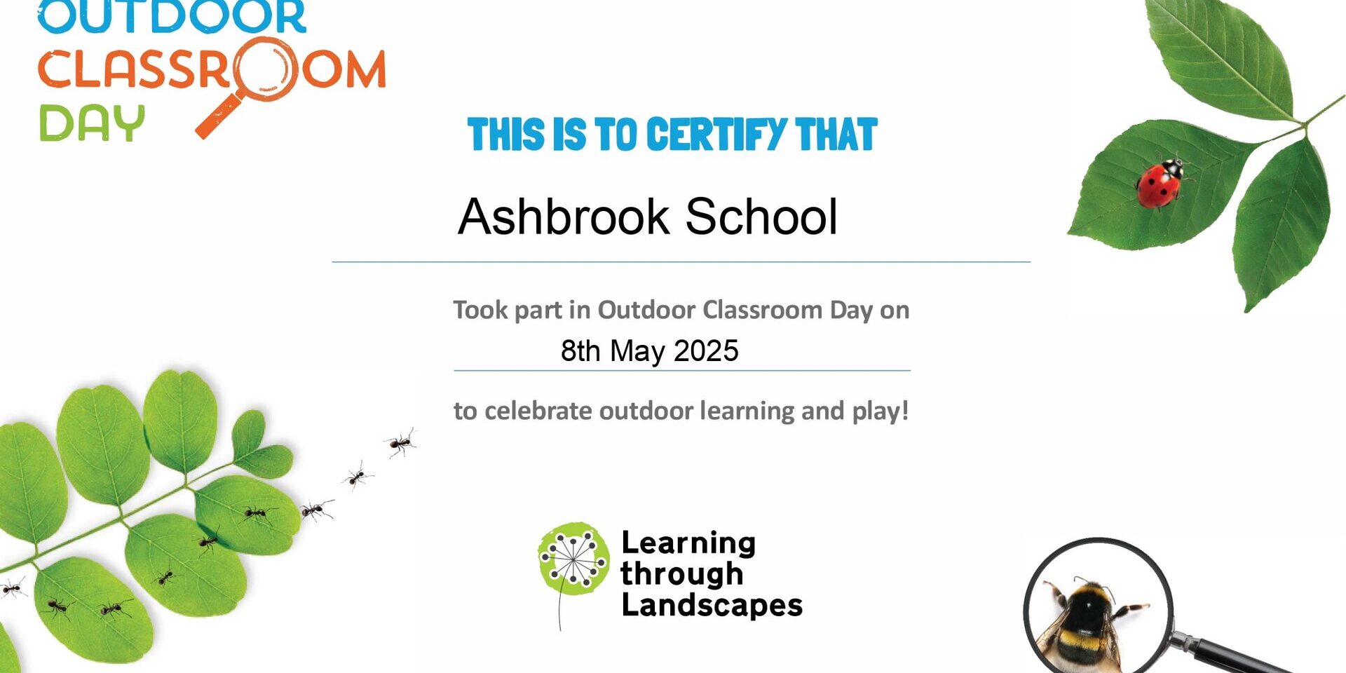 Outdoor Classroom