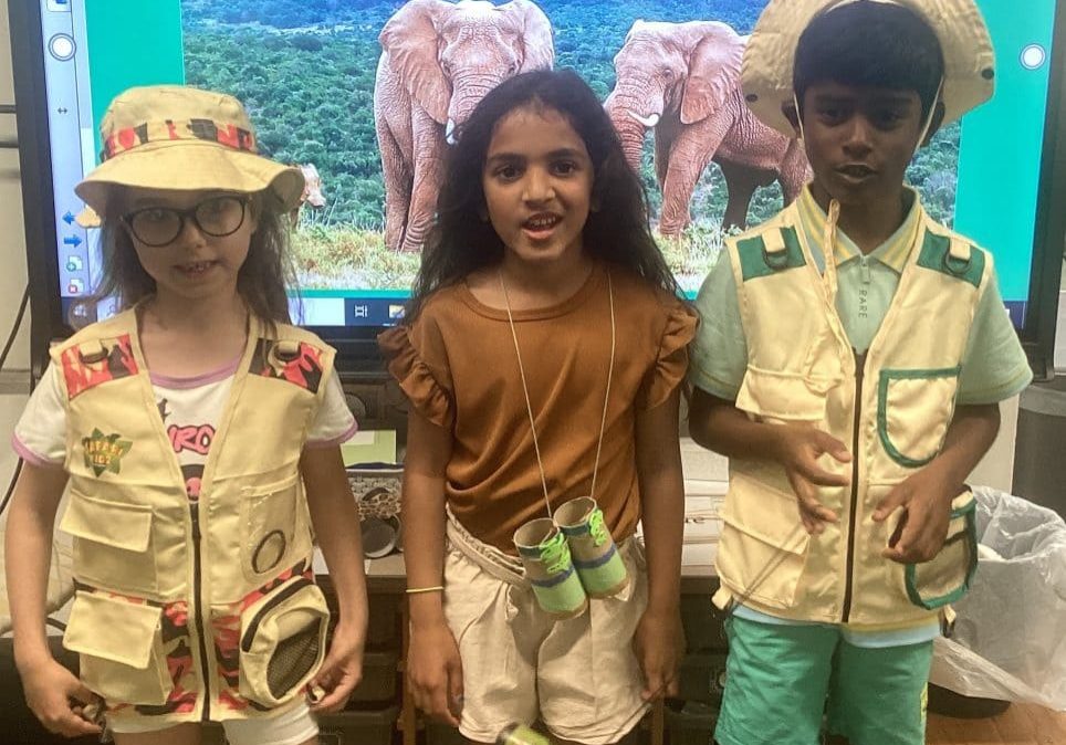 safari dat